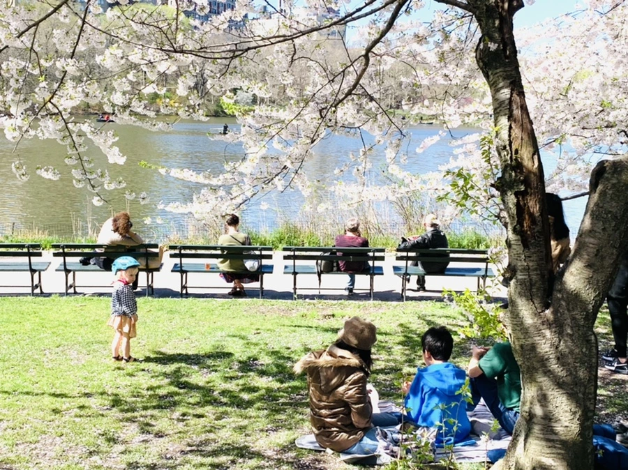 IMG_1888.jpg?type=w966