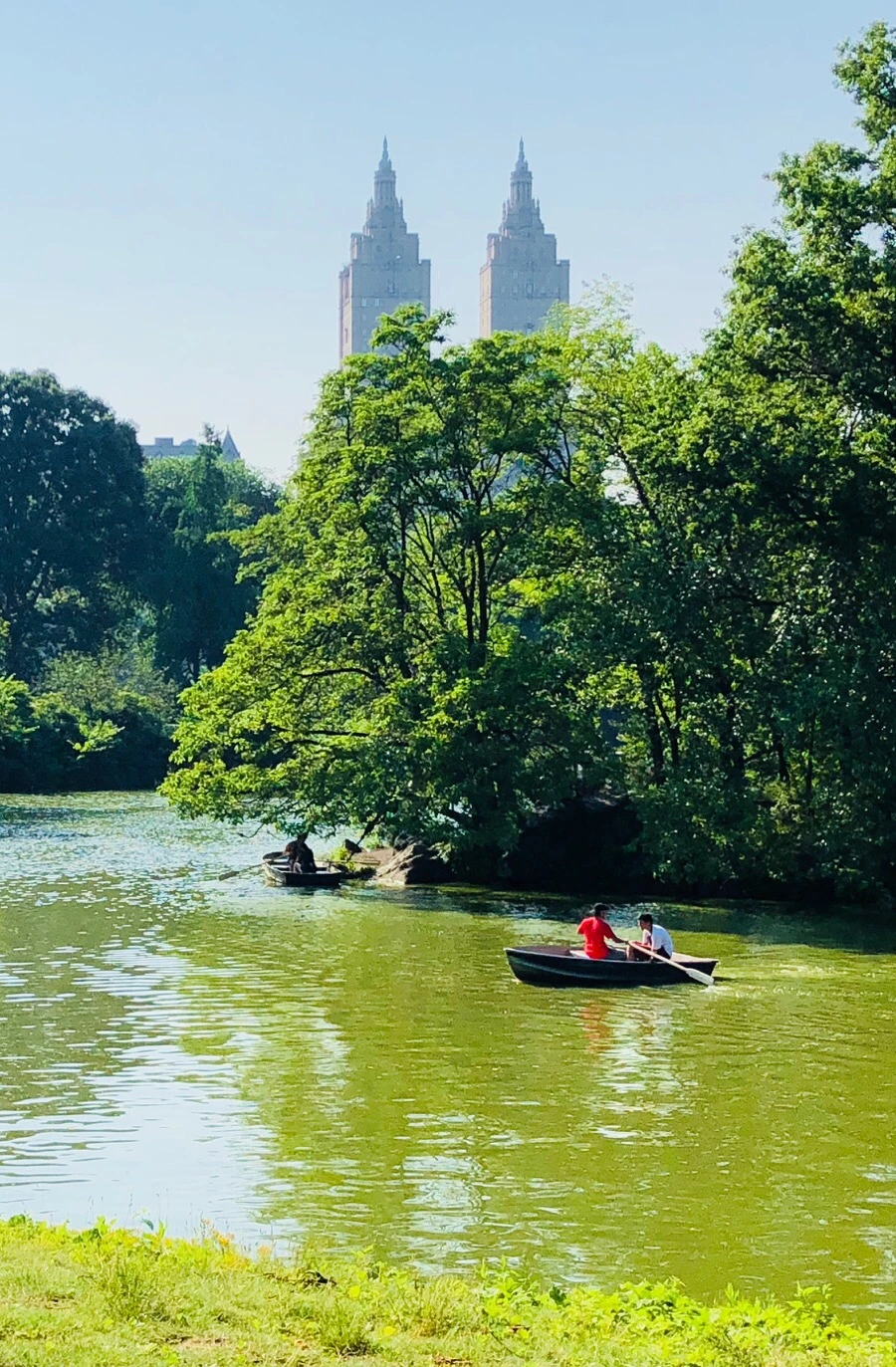 IMG_8874.jpg?type=w966