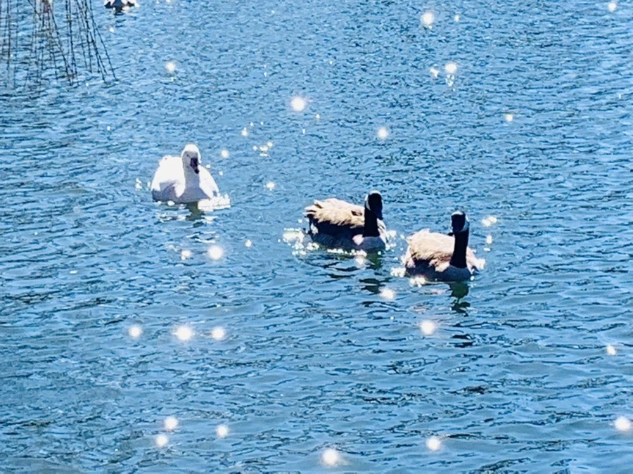 8Nr8dbt9mJZbtqrR9b_WjqaXhIA