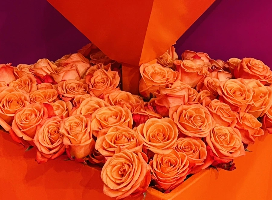 IMG_7617.jpg?type=w966