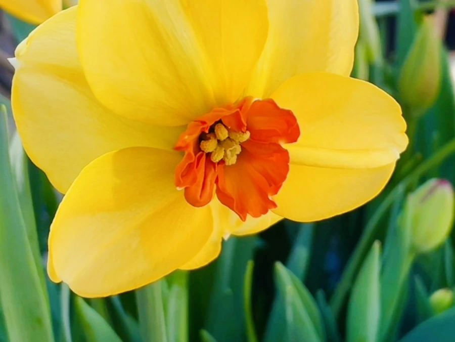 IMG_2059.jpg?type=w966