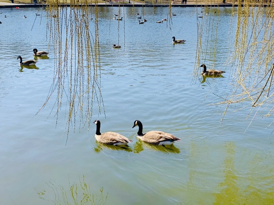 IMG_3110.jpg?type=w966