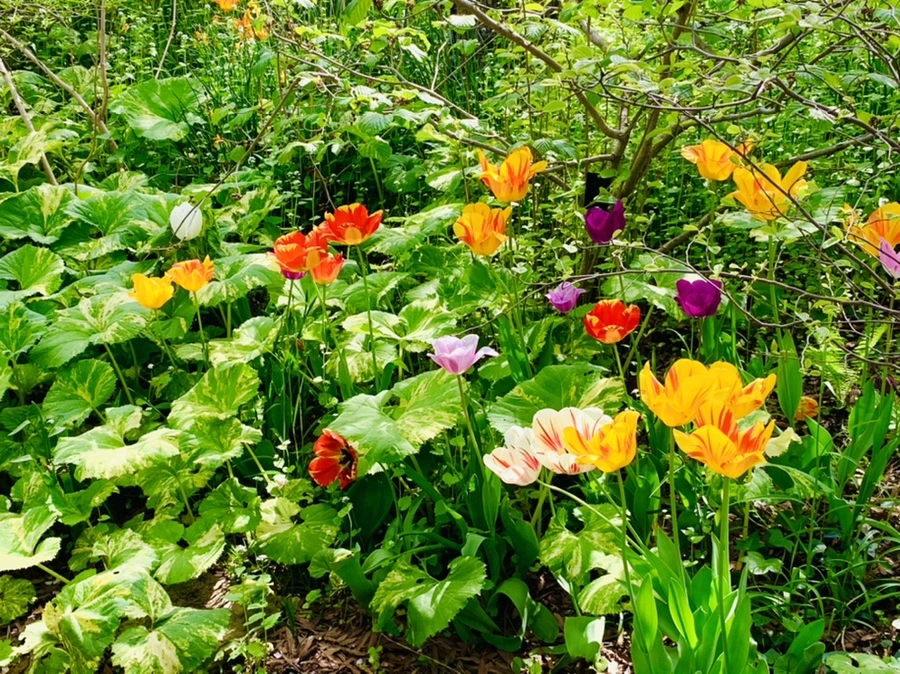 IMG_6859.jpg?type=w966