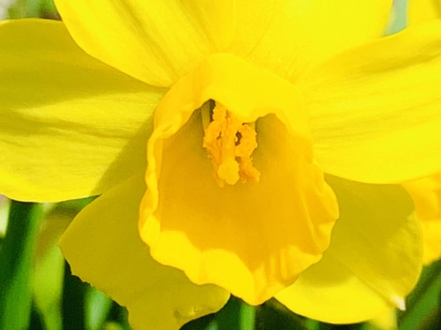 IMG_3416.jpg?type=w966