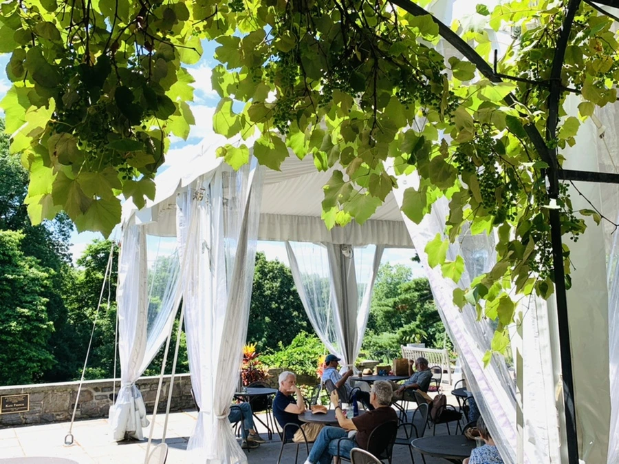 IMG_6899.jpg?type=w966