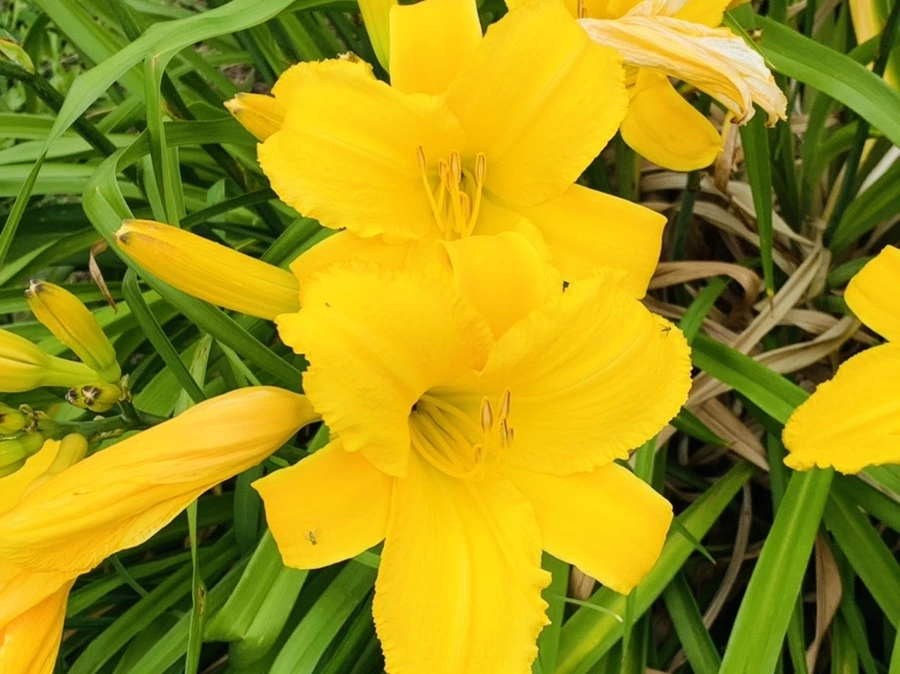 am1IUaLPN-QK4MD4VZbLtAFyB7k