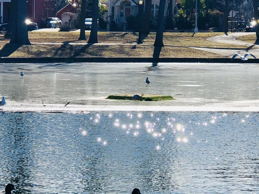 IMG_5351.jpg?type=w966