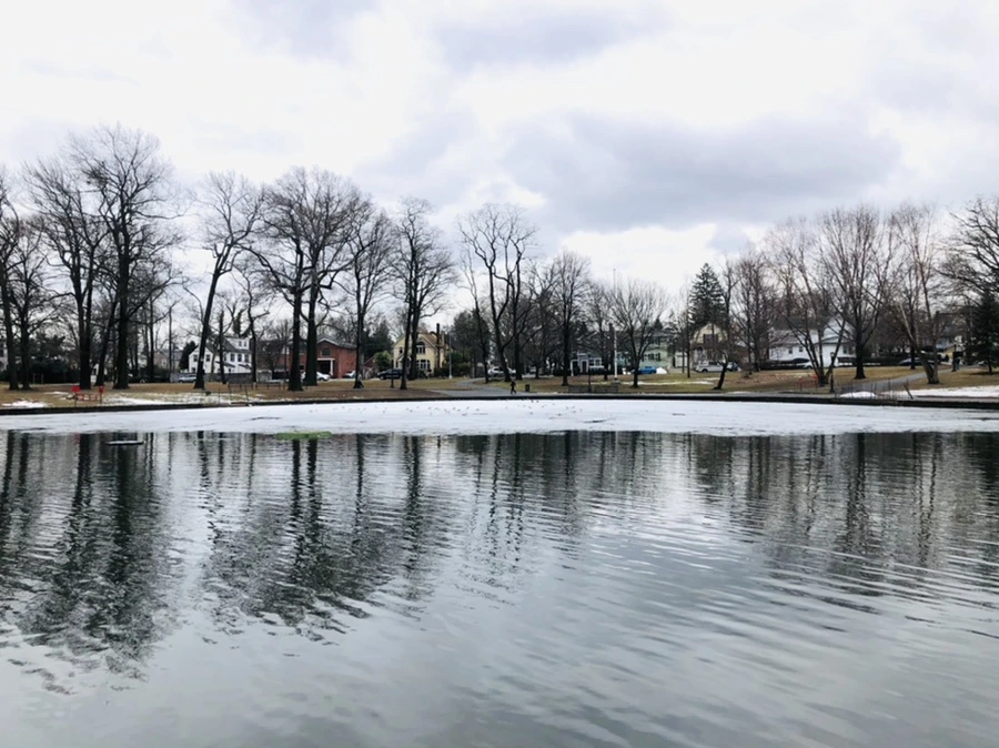 IMG_6443.jpg?type=w966