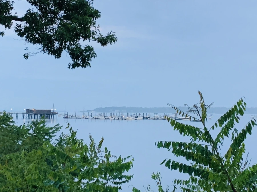 IMG_0116.jpg?type=w966