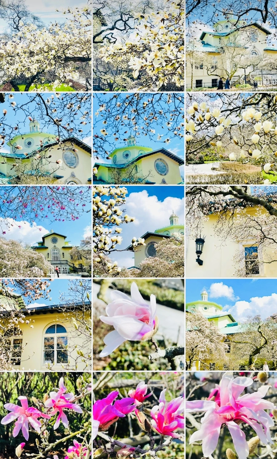 IMG_7290.jpg?type=w966