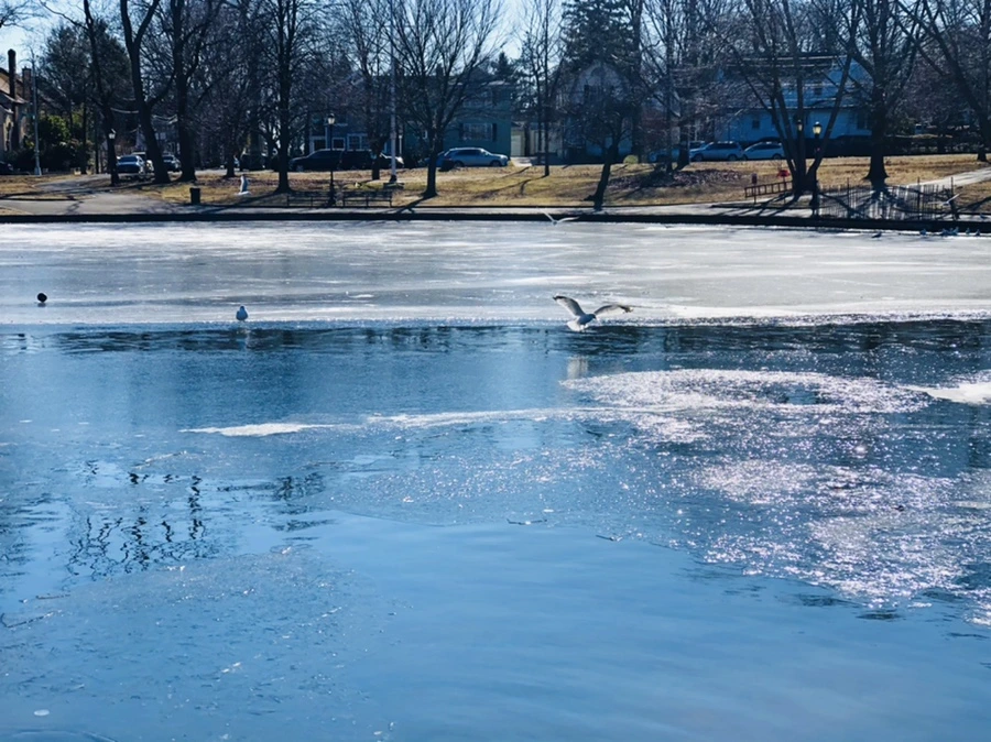 IMG_7840.jpg?type=w966