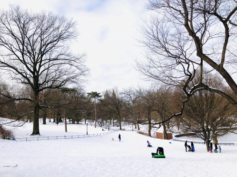 IMG_7232.jpg?type=w966