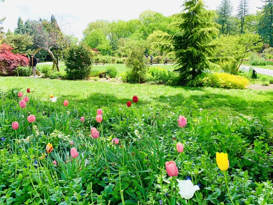 IMG_1398.jpg?type=w966