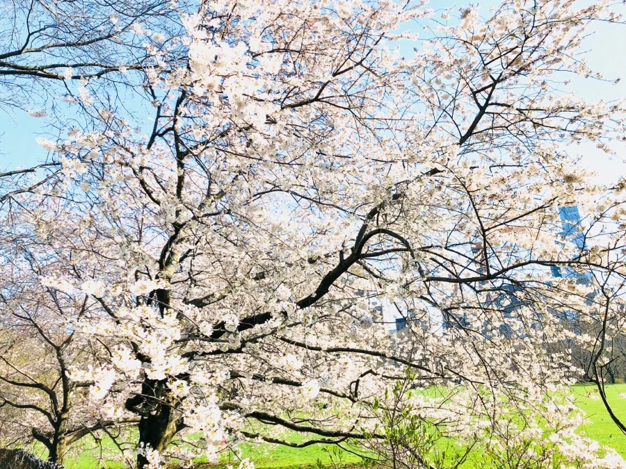 IMG_4500.jpg?type=w966