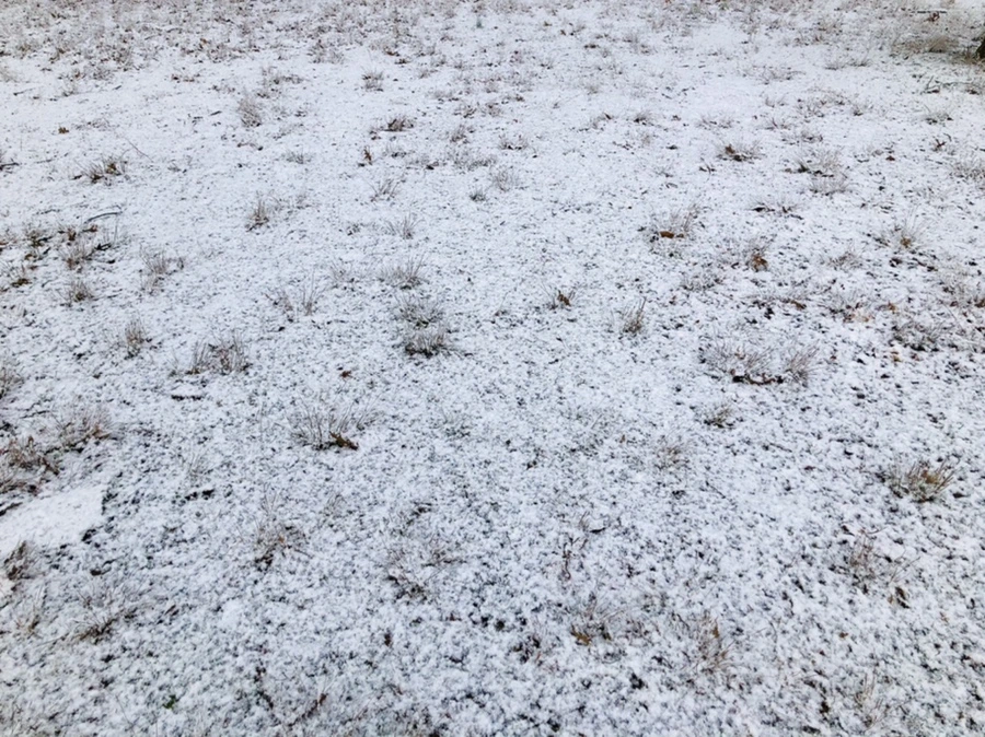 IMG_4467.jpg?type=w966