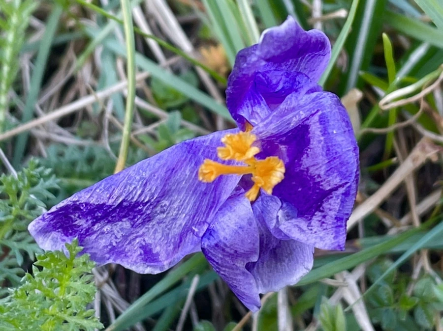 IMG_6163.jpg?type=w966