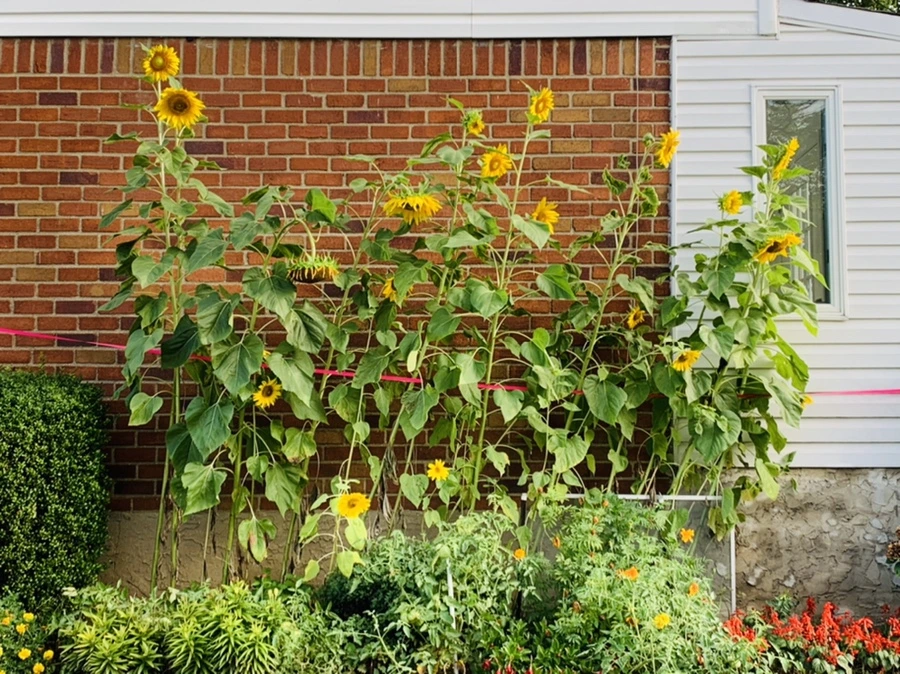 IMG_7024.jpg?type=w966