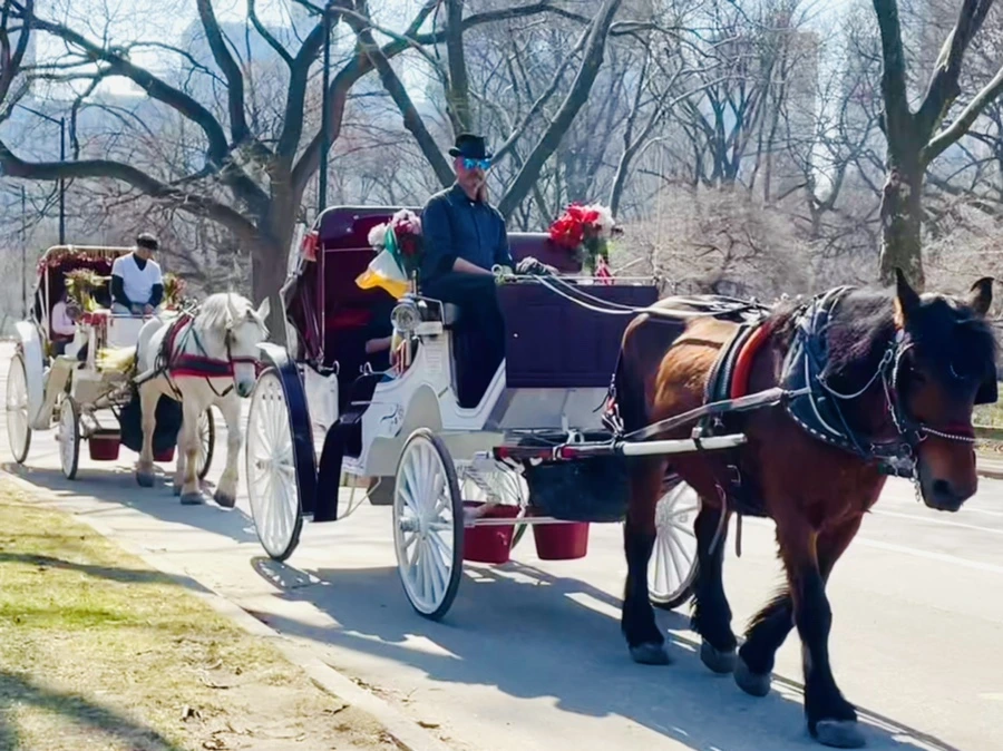 IMG_5515.jpg?type=w966