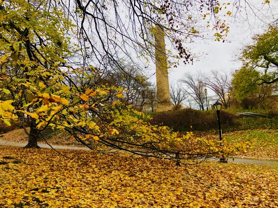 IMG_5717.jpg?type=w966