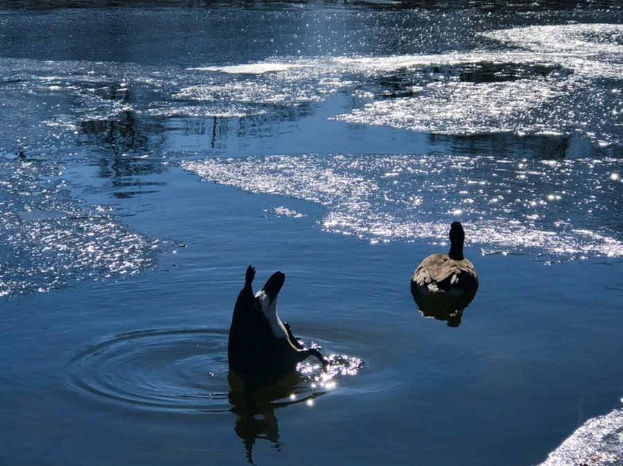 IMG_7686.jpg?type=w966