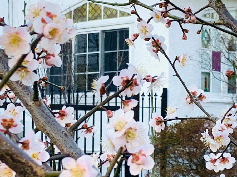 IMG_0865.jpg?type=w966