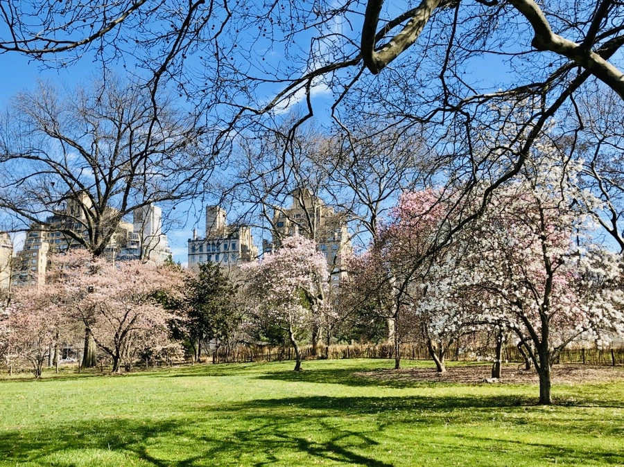 IMG_6660.jpg?type=w966