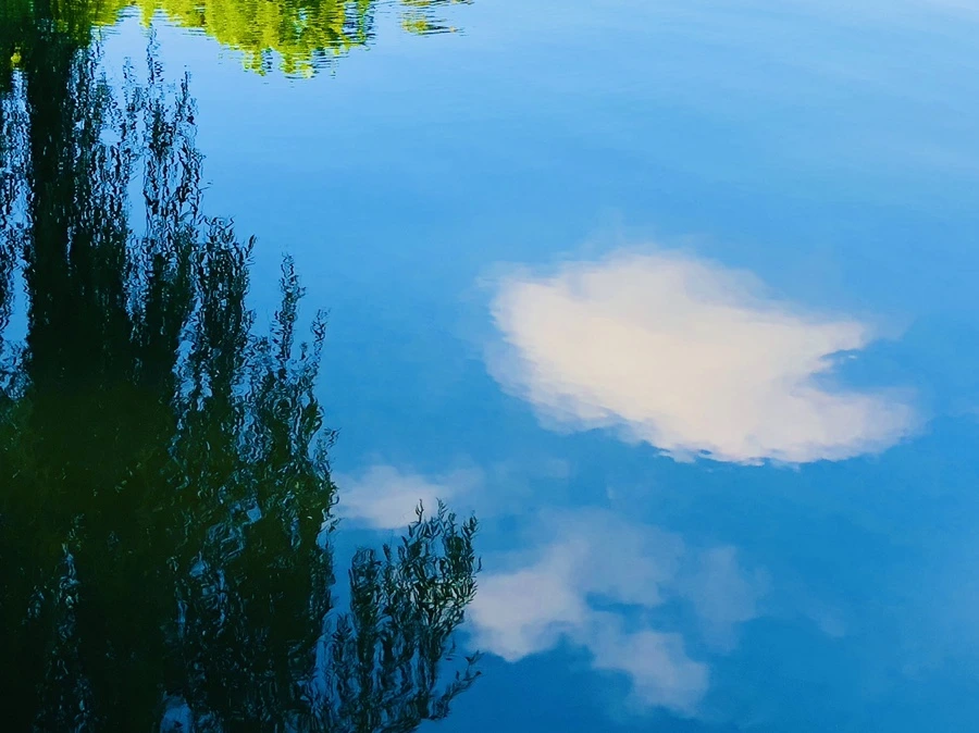 IMG_2879.jpg?type=w966