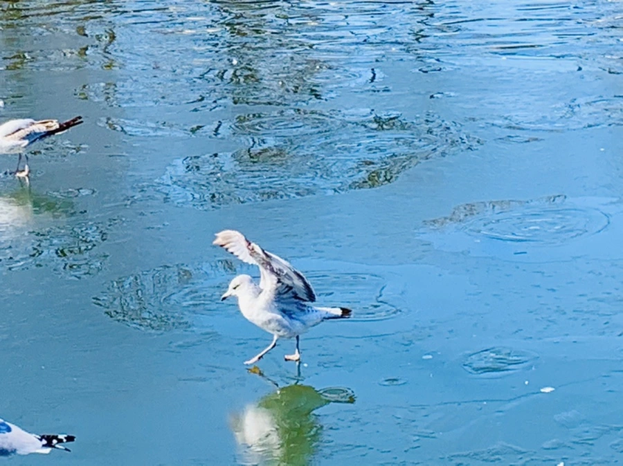 IMG_9081.jpg?type=w966