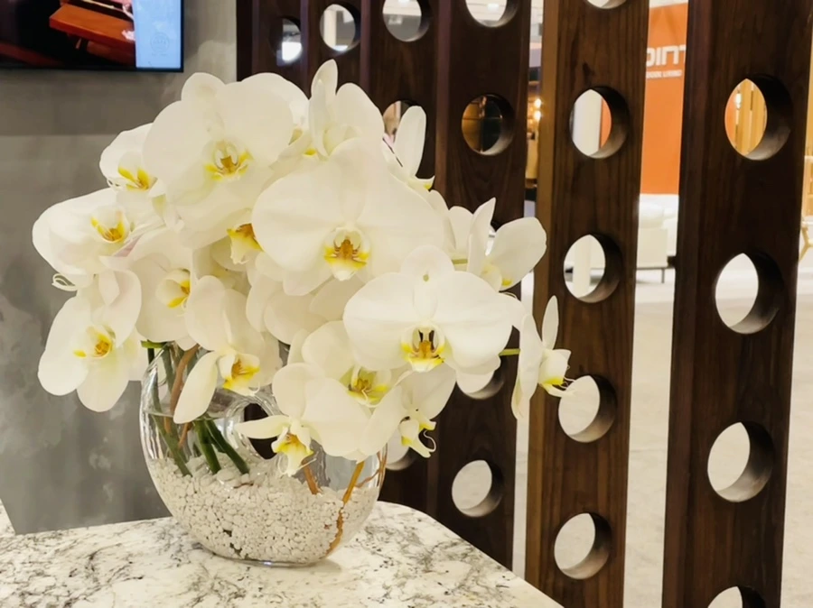 IMG_3001.jpg?type=w966