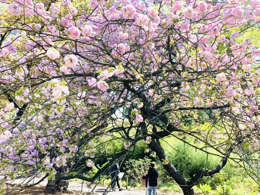 IMG_4659.jpg?type=w966