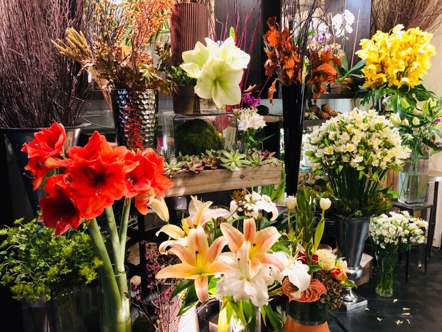 IMG_7155.jpg?type=w966