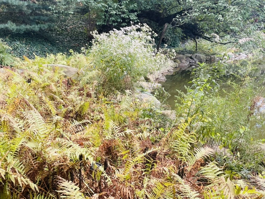 IMG_0188.jpg?type=w966