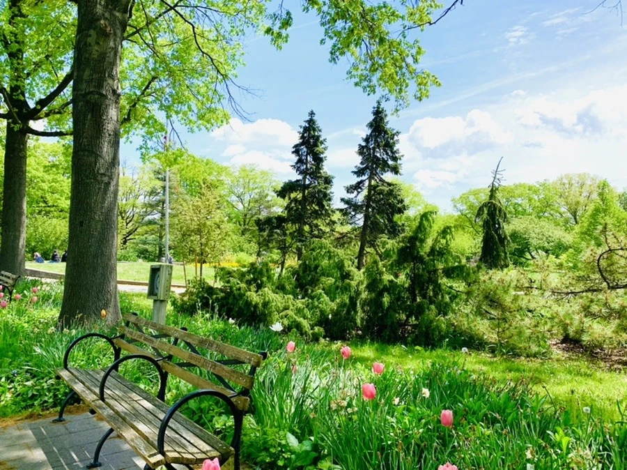 grNOR4_H6Gwmgmftp8tvv-yLI-s