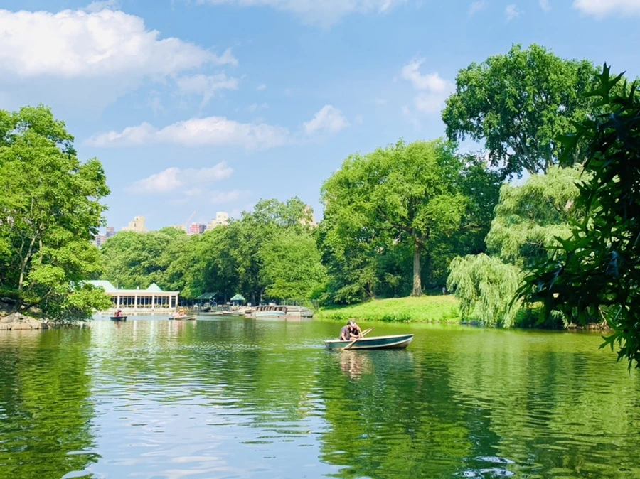 IMG_1749.jpg?type=w966