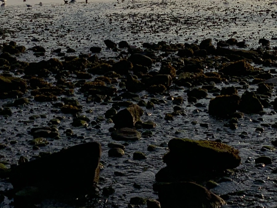 IMG_9782.jpg?type=w966