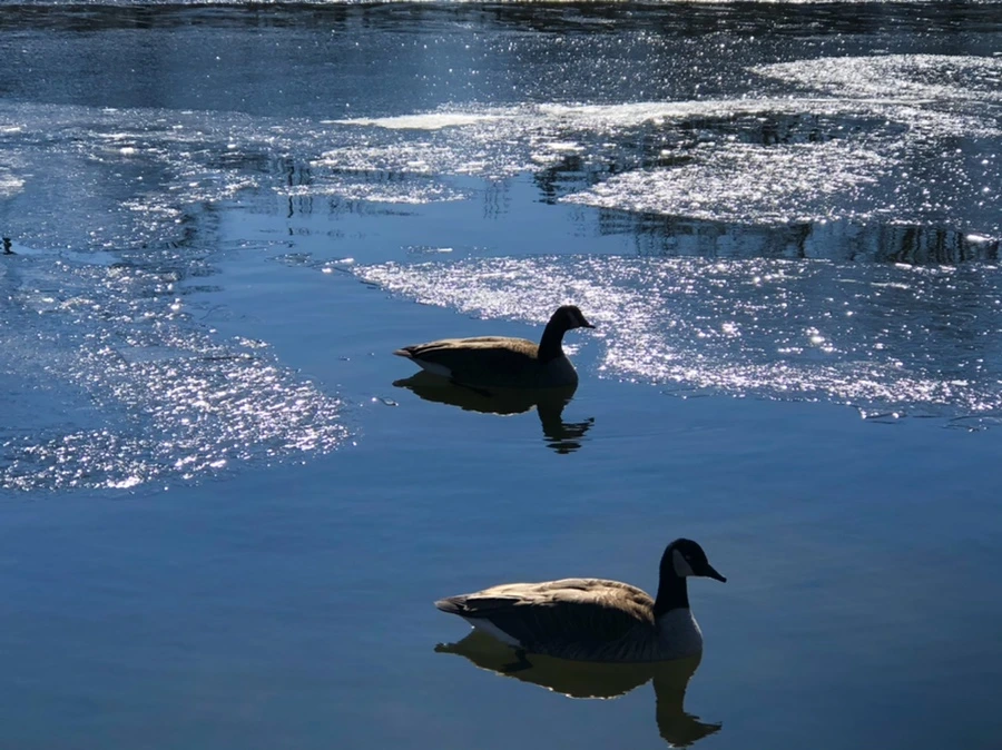 IMG_7705.jpg?type=w966