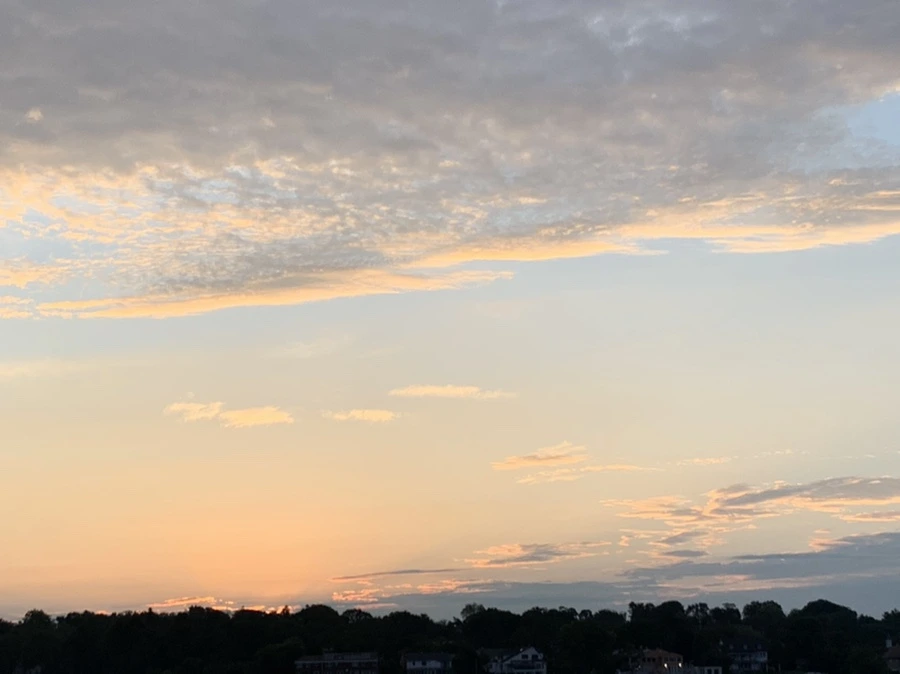 IMG_1221.jpg?type=w966