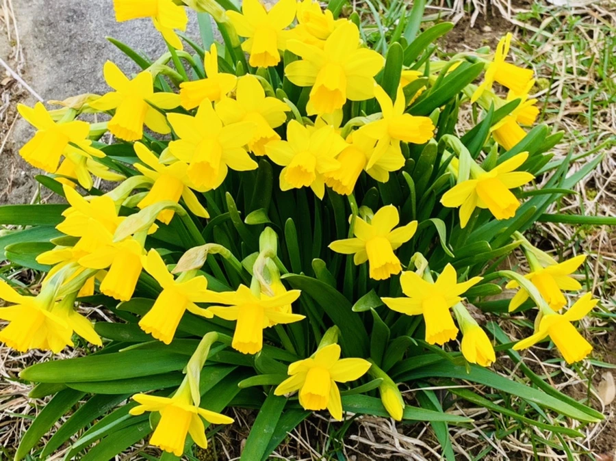 IMG_3227.jpg?type=w966