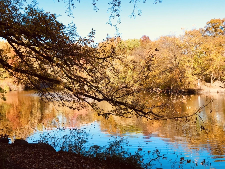 IMG_3565.jpg?type=w966