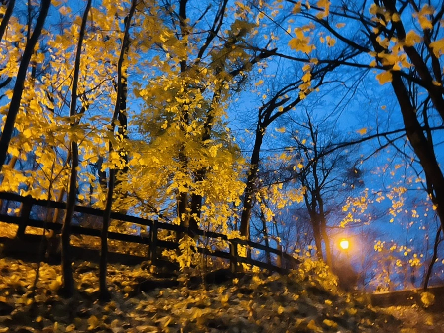 IMG_6522.jpg?type=w966