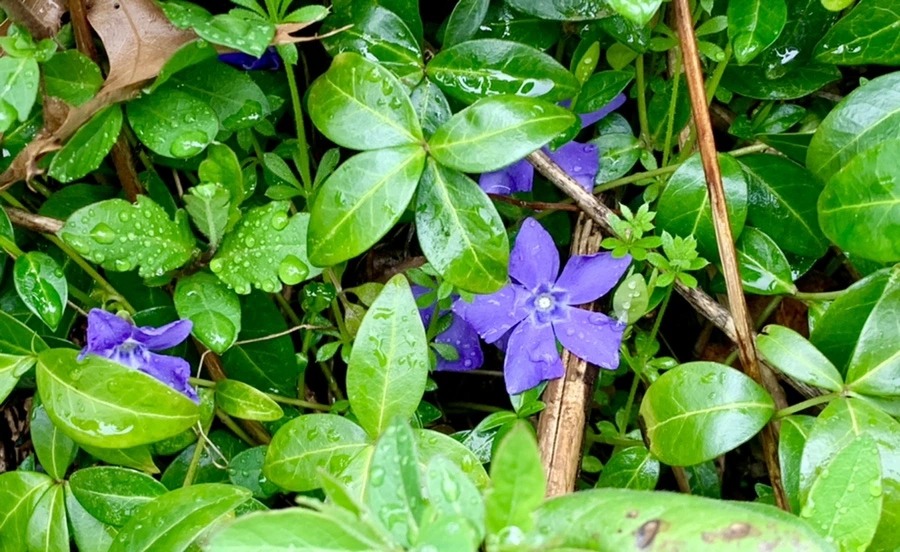 IMG_5347.jpg?type=w966