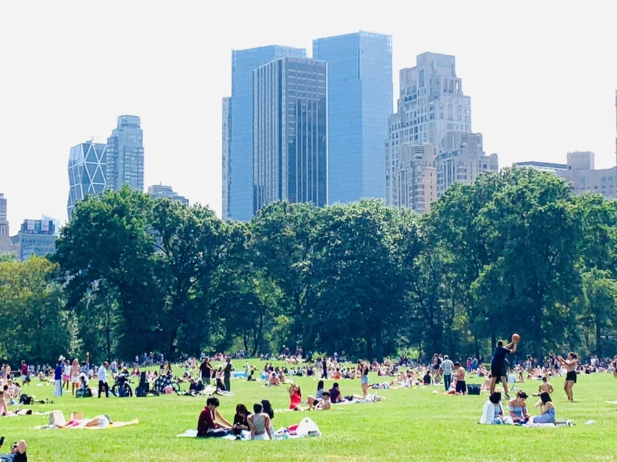 IMG_0598.jpg?type=w966