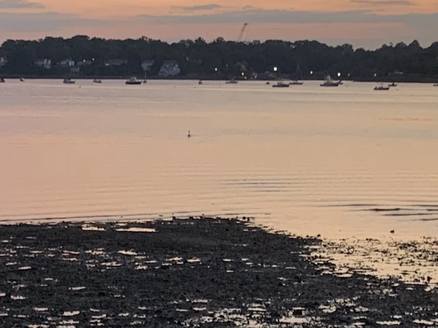 IMG_8718.jpg?type=w966