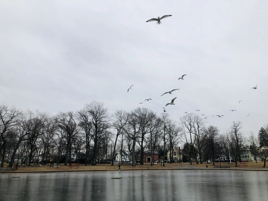 IMG_9071.jpg?type=w966