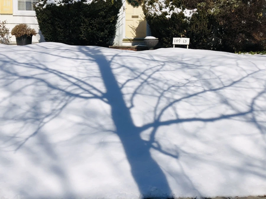 IMG_3923.jpg?type=w966