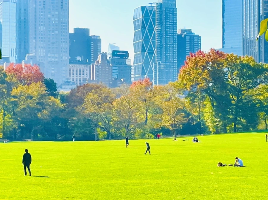 IMG_1696.jpg?type=w966