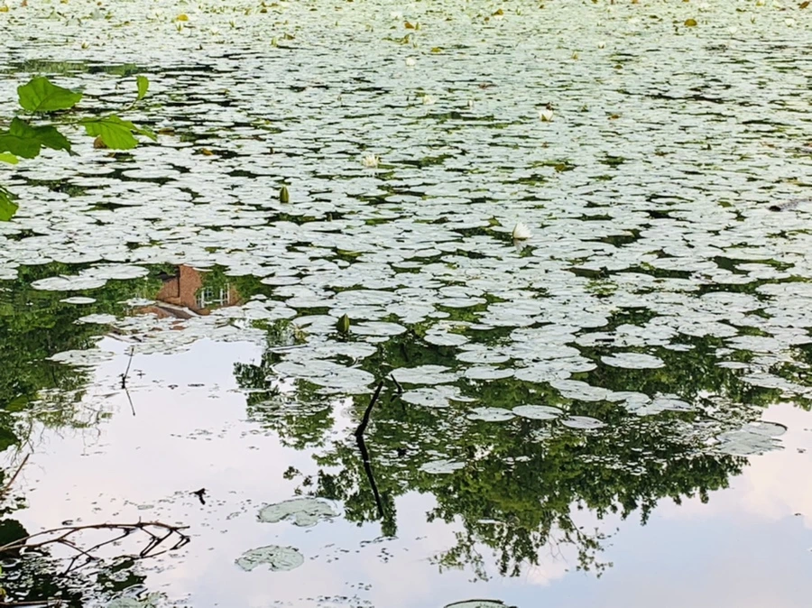 IMG_1480.jpg?type=w966