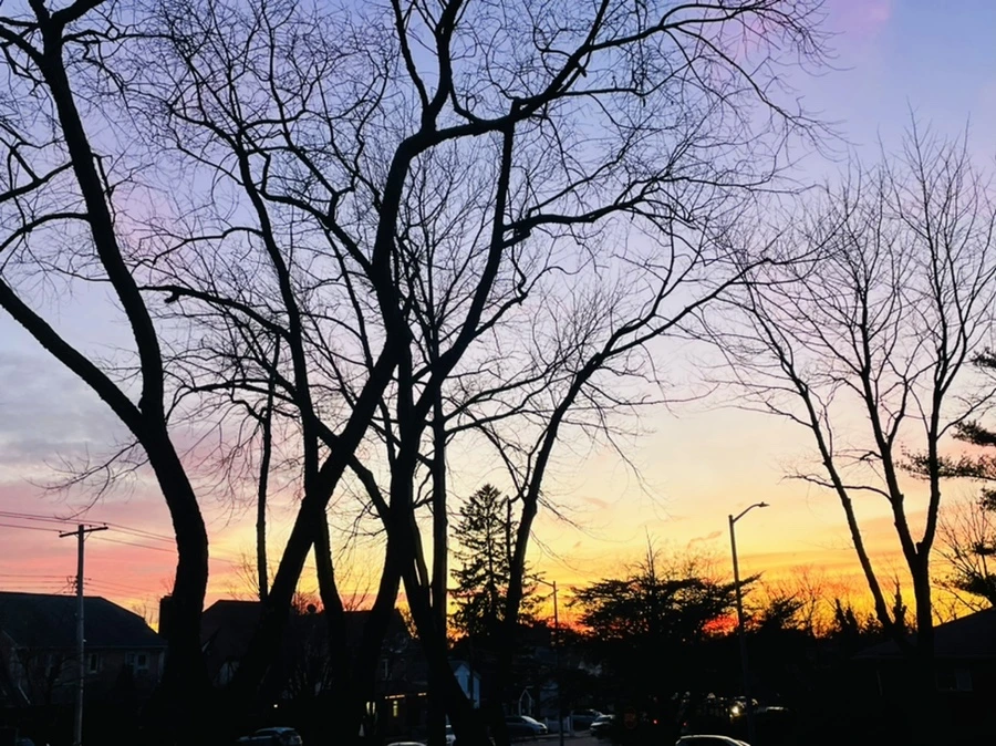 IMG_0502.jpg?type=w966