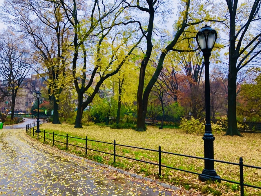 IMG_5710.jpg?type=w966