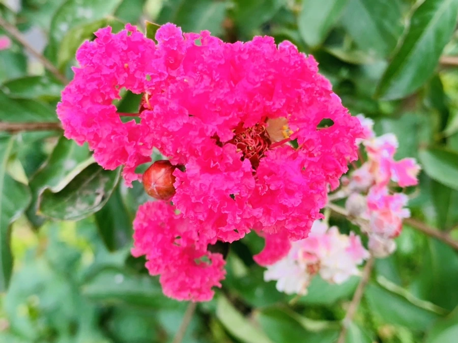 IMG_5941.jpg?type=w966